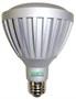 Greenlite LED PAR30