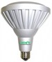 Greenlite LED PAR38